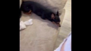 Erotic Kitten Sexy Teen Has A Perfumed Tush