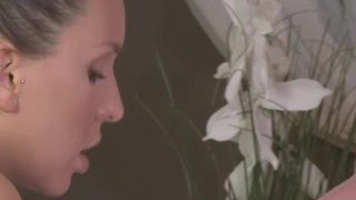 Charming Pornstar Vinna Reed Gets Her Butt Sexed